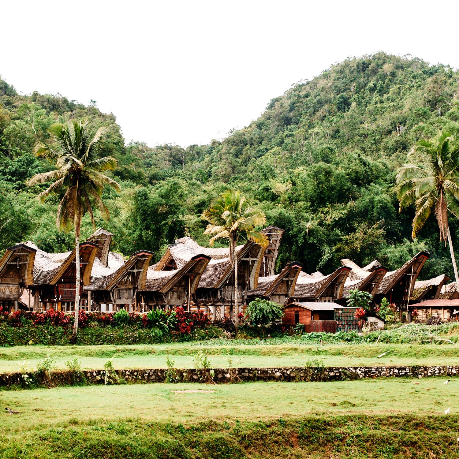 Exotic Indonesia. Where to stay in and around Tana Toraja